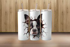 3d boston terrier1