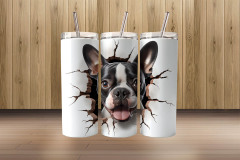 3d boston terrier2