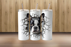 3d boston terrier3