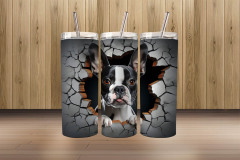 3d boston terrier4