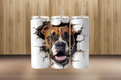 3d boxer