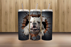 3d bulldog3