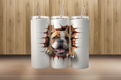 3d bulldog5