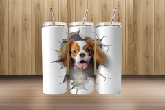 3d cavalier king charles spaniel4