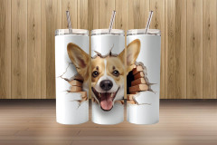 3d corgi2