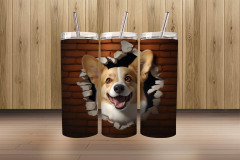 3d corgi3