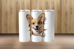 3d corgi4