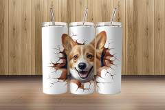 3d corgi5