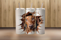 3d dachshund1