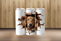 3d dachshund2