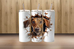 3d dachshund3