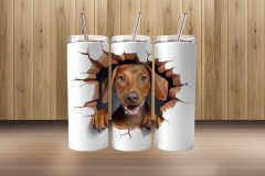 3d dachshund4