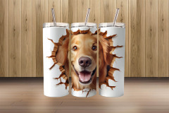 3d golden retriever