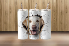 3d labrador retriever