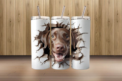 3d labrador retriever1