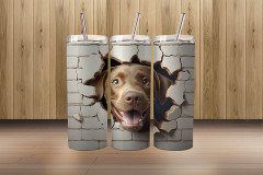 3d labrador retriever2