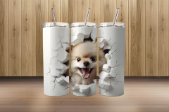 3d pomeranian