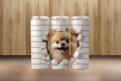 3d pomeranian1