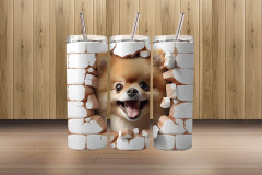 3d pomeranian2