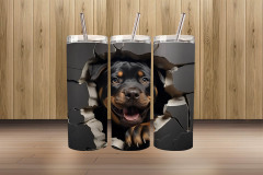 3d rottweiler