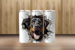 3d rottweiler5