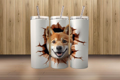 3d shiba inu3