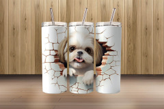 3d shih tzu