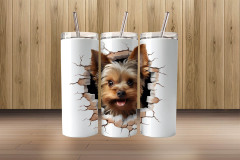 3d yorkshire terrier3