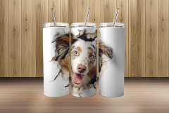 3d austrailian shepherd