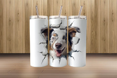 3d austrailian shepherd1