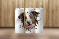 3d austrailian shepherd3